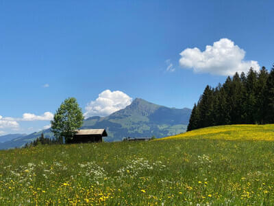 Alpine Heimatliebe Bild 13