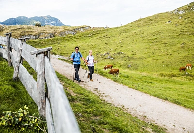 gruenewiesenpurenaturkitzbueheleralpen.jpg