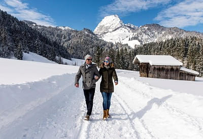 winterspaziergangvordemwildenkaisergerdlfranz.jpg