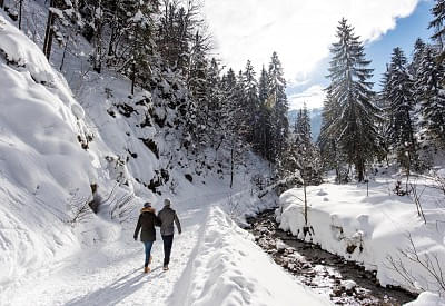 winterspaziergangnebengebirgsbachgerdlfranz.jpg